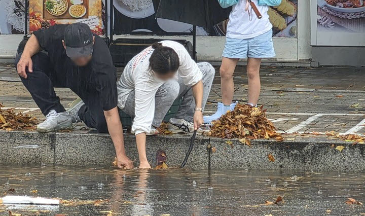 폭우가 쏟아진 18일 경기도 고양시 일산서구에서 시민들이 낙엽이 배수구를 막아 도로가 물바다가 되자 손으로 낙엽을 걷어내고 있다 (사진=연합뉴스)