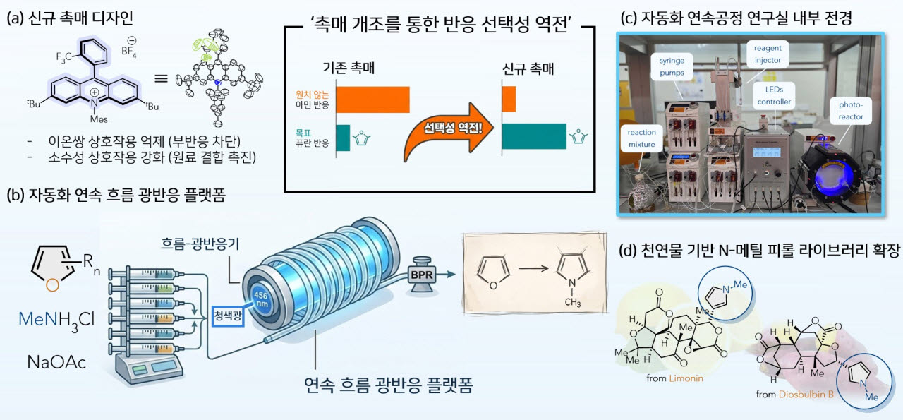 연구 개요도(사진=KAIST)