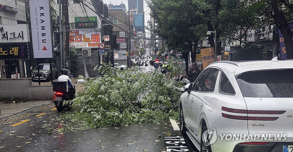 18일 서울 강남구 역삼동의 한 거리에 돌풍으로 가로수가 쓰러져있다. (사진=연합뉴스)