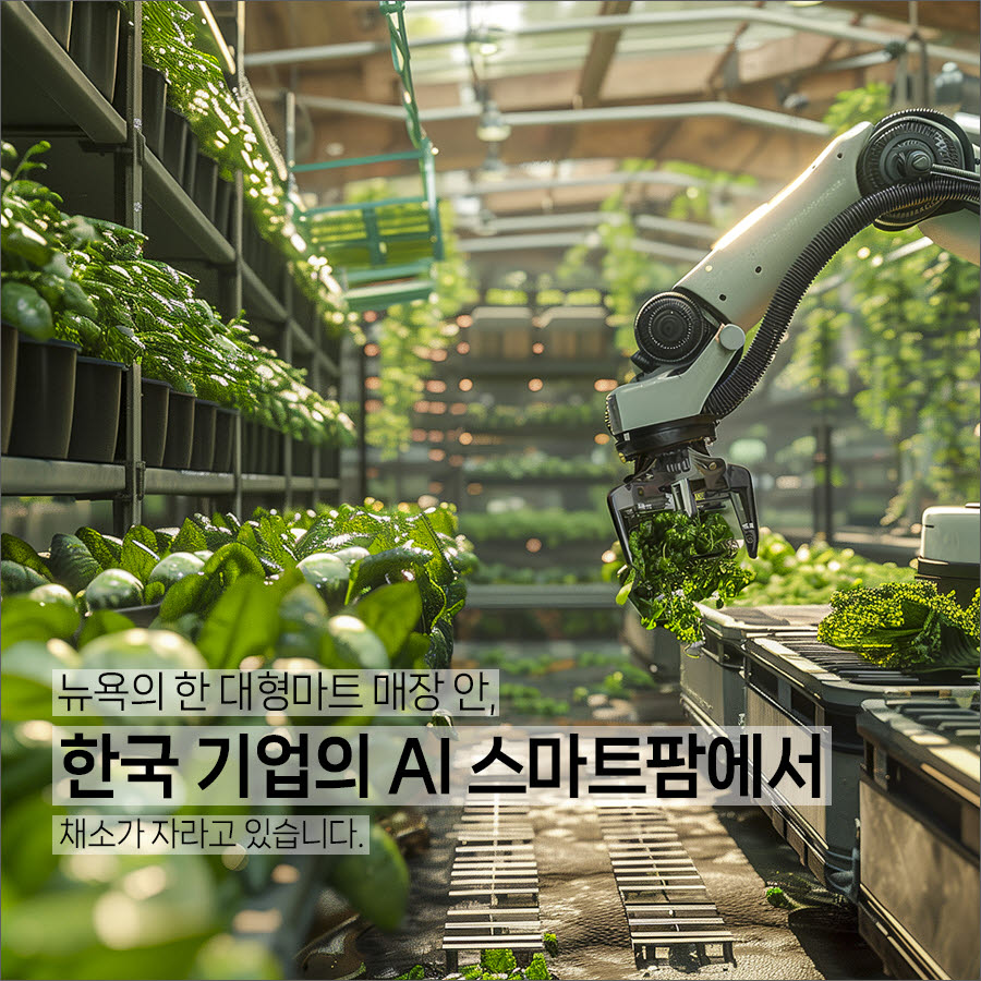 [카드뉴스] 미국 마트에서 채소를 키우는 한국 기술, 세계로 뻗어가는 ‘K-스마트팜’
