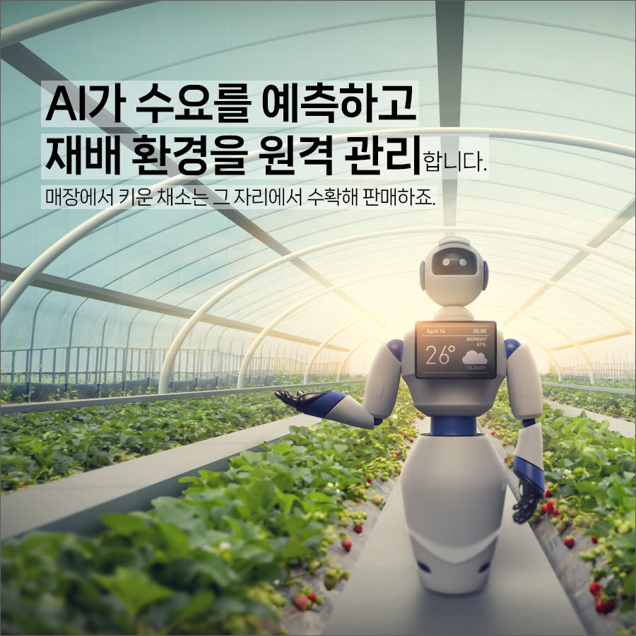 [카드뉴스] 미국 마트에서 채소를 키우는 한국 기술, 세계로 뻗어가는 ‘K-스마트팜’