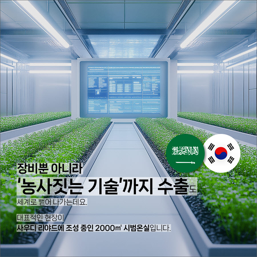 [카드뉴스] 미국 마트에서 채소를 키우는 한국 기술, 세계로 뻗어가는 ‘K-스마트팜’