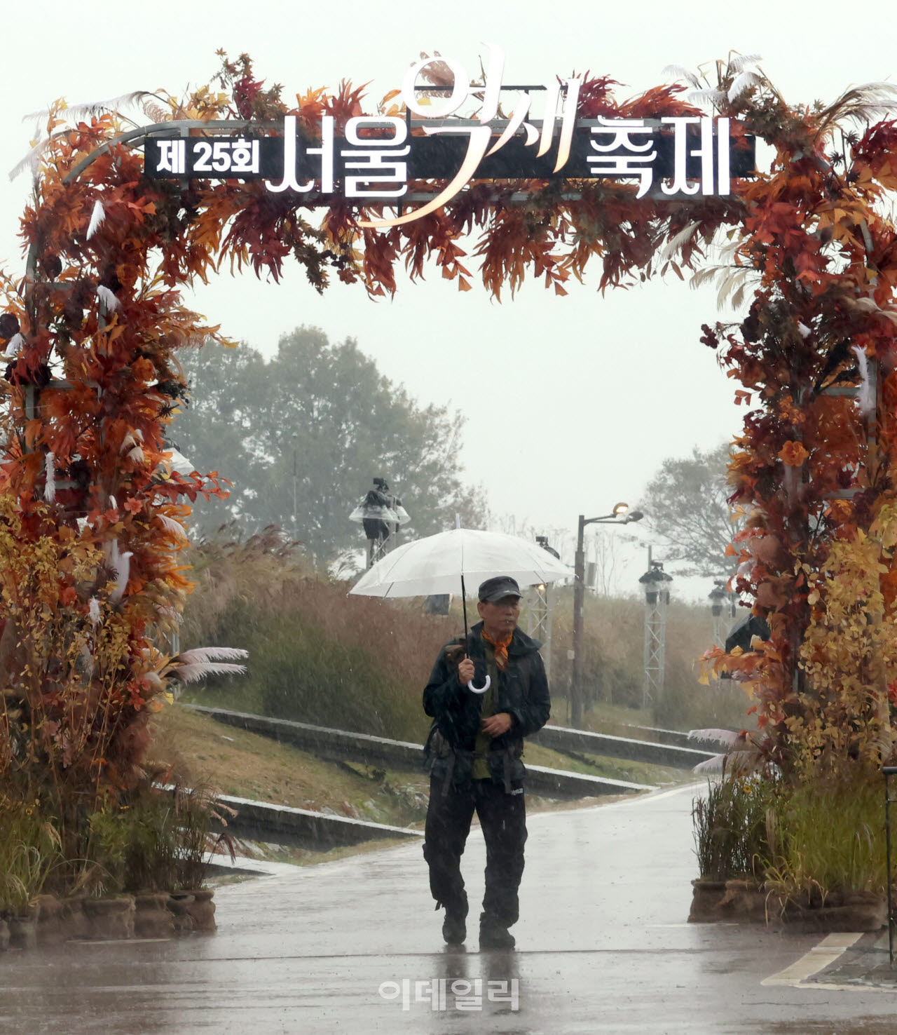 지난 18일 서울 마포구 하늘공원에서 열린 '제25회 서울 억새 축제'를 찾은 한 시민이 우산을 쓰고 억새밭을 산책하고 있다. (사진=방인권 기자)