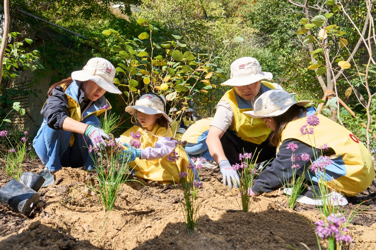 17일 경기도 포천에서 OCI그룹 임직원들이 생물다양성 보전활동을 하고 있다.(사진=OCI홀딩스 제공)