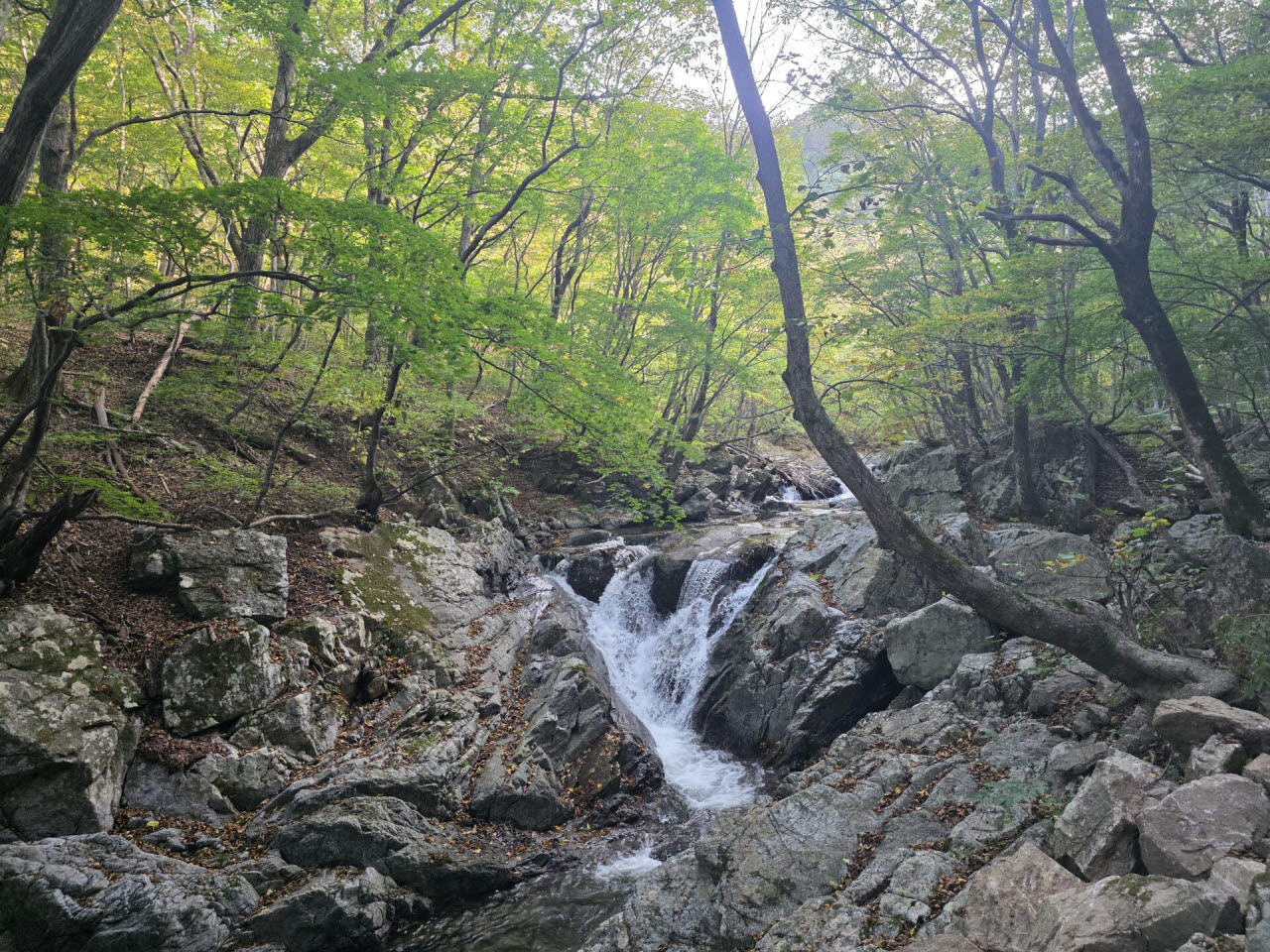 강원 인제의 점봉산 곰배령 트레킹 코스. 내 계곡. (사진=박진환 기자)
