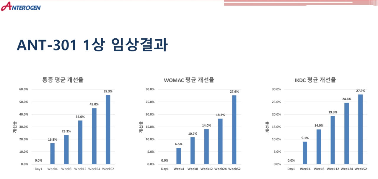 ANT-301 국내 임상 1상 참여자 6명의 투여 전 대비 통증·관절 기능 평균 개선율. 단회 투여 후 52주까지 개선 폭이 커지는 양상이 관찰됐다. 대조군 없는 탐색적 임상 결과다. (자료=안트로젠)