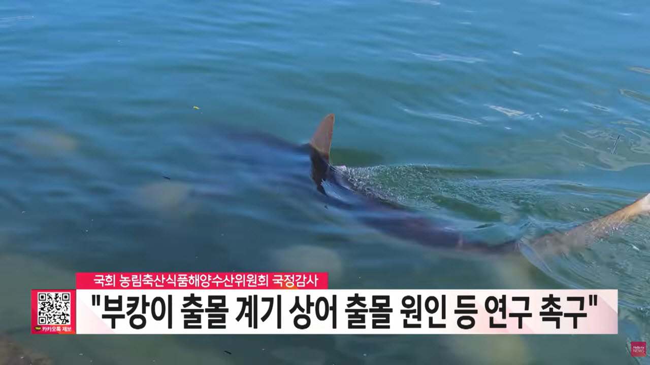 출처=LG헬로비전