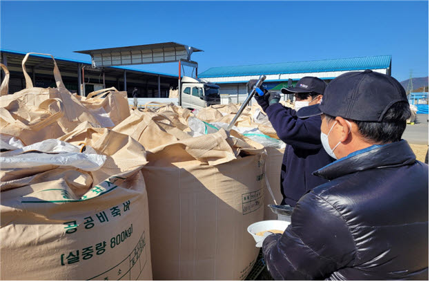 국립농산물품질관리원 검사관들이 공공비축벼 매입 현장에서 시료를 채취하고 있다. (사진=국립농산물품질관리원)