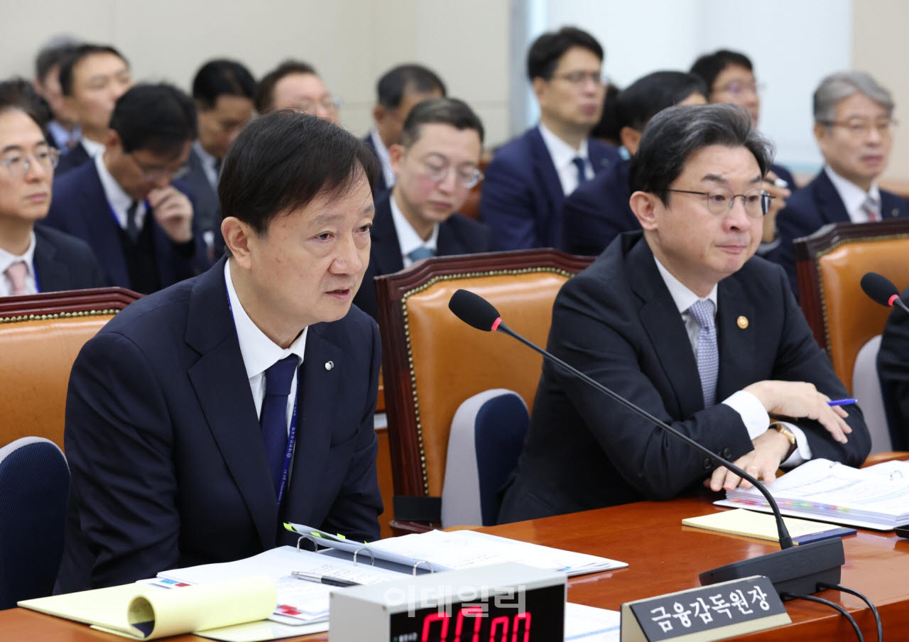 이찬진 금융감독원장이 22일 국회 정무위원회 금융분야 종합감사에서 답변하고 있다.(사진=노진환 기자)