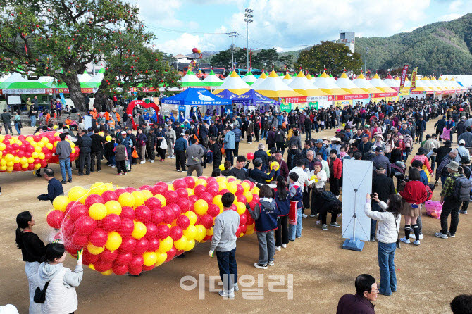 청송군은 11월4일부터 닷새간 청송읍 현비암 일원에서 ‘제20회 청송사과축제’를 개최한다. (사진=이데일리DB)