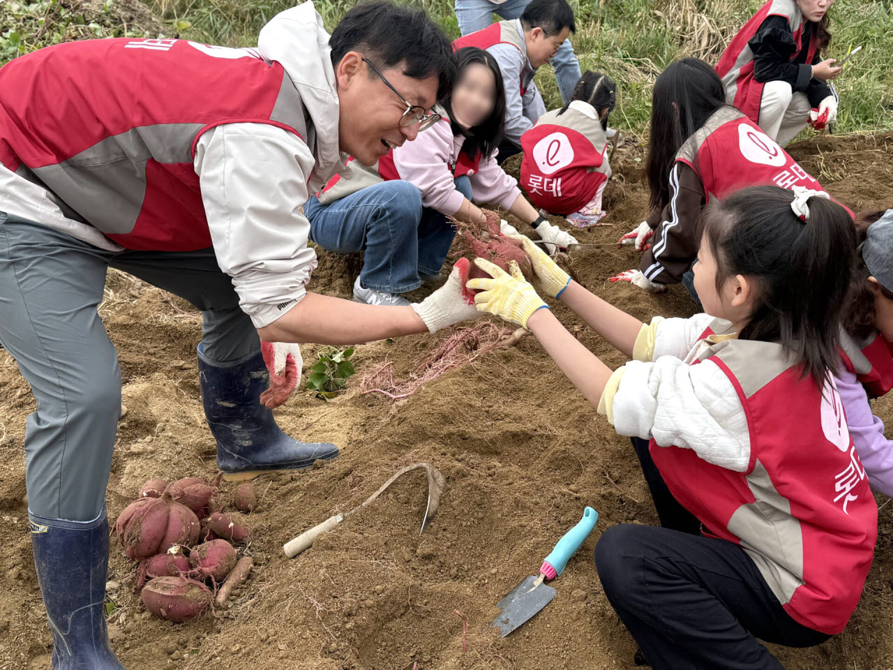 롯데건설 '샤롯데 봉사단'이 지난 24일 서울 강서구 개화동 일대 텃밭에서 농작물을 수확하고 있다.(사진=롯데건설)