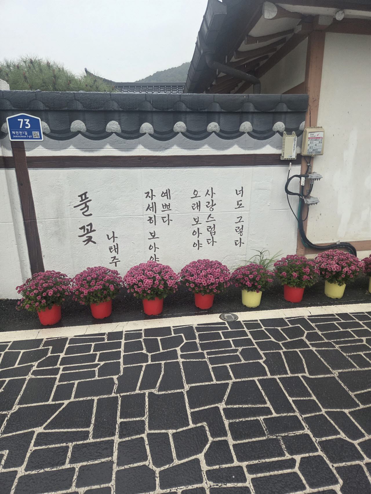 공주에서는 나태주 시인의 시가 적힌 담장들을 볼 수 있다. 사진=이데일리 김현아 기자
