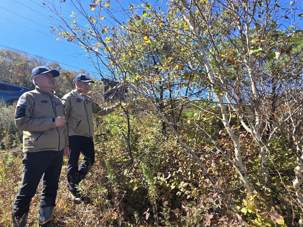 향로봉산림생태관리센터 소속 하덕호·여동학 생태관리원이 향로봉 숲을 관찰하고 있다. (사진=박진환 기자)
