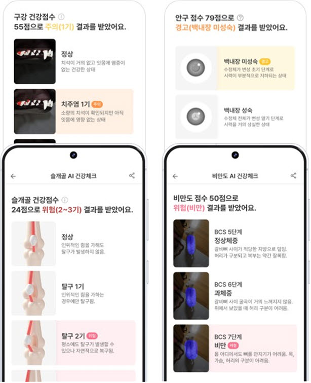 반려동물 AI 홈케어 솔루션 ‘라이펫(Lifet)’의 AI 분석 결과 화면 (사진=농림축산식품부)