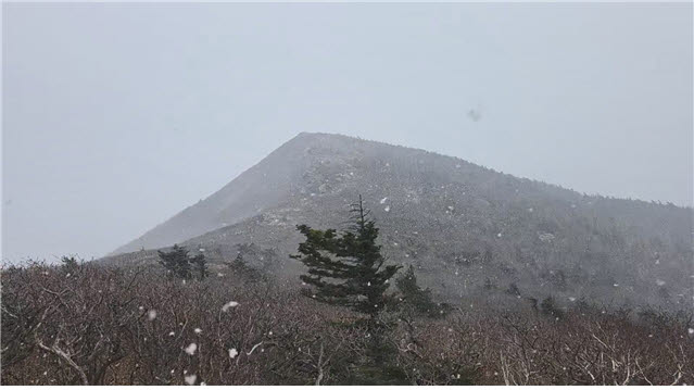 29일 강원 양양군 설악산국립공원 중청대피소에 올해 첫눈이 내리고 있다. (사진=설악산국립공원사무소 제공)