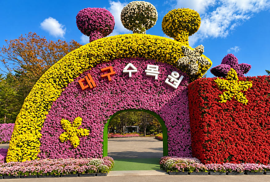 사진=대구시