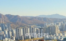 수도권 일부에도 퍼진 온기…과천 아파트값 2억~3억 '쑥'
