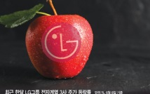 애플 훈풍에 달아오르는 LG그룹 전자계열 '삼총사'