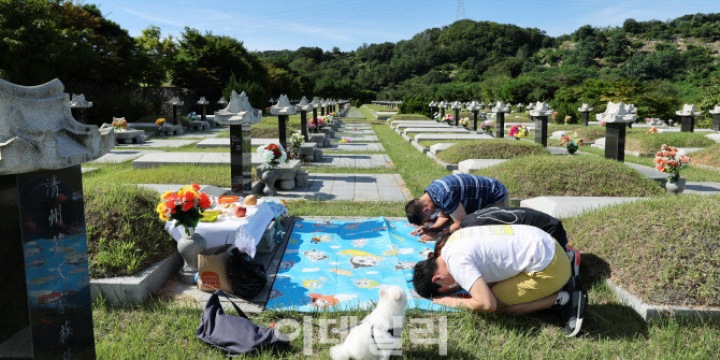 포토 > 추석 앞두고 성묘 - 이데일리