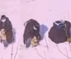 "악명 떨치려"..대담해지는 10대들의 ‘동물학대 N번방’