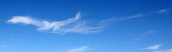 파란하늘 달리는 말구름                                                                                                                                                                            