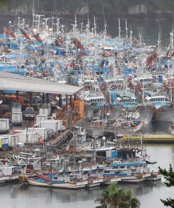  태풍 '장미' 제주 접근, 피항한 어선들                                                                                                                                                   