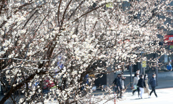 서울의 봄                                                                                                                                                                                         
