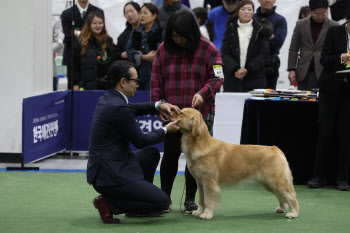 프리미어 도그쇼                                                                                                                                                                                   