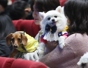 대학 신입생 입학식 참석한 댕댕이들                                                                                                                                                                      