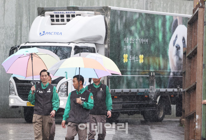 푸바오, '정든 사육사들과 작별'                                                                                                                                                          
