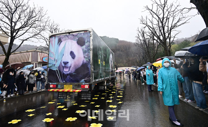 '푸바오 배웅하는 시민들'                                                                                                                                                                