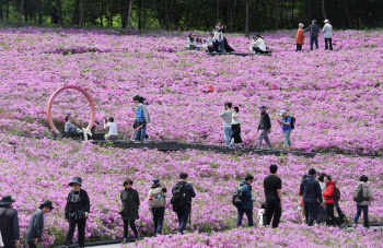 2024 불암산 철쭉제, '기분이 좋아요'                                                                                                                                                     