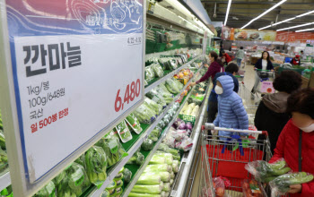 '한국 올해 과일ㆍ채소값 크게 올랐다'                                                                                                                                                    