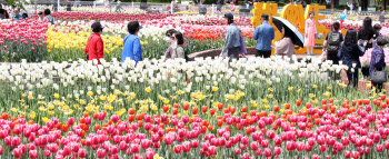 2024 고양국제꽃박람회...화려한 꽃과 함께 즐기는 봄                                                                                                                                                