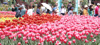 2024 고양국제꽃박람회 개막...화려한 꽃과 함께 즐기는 봄                                                                                                                                           