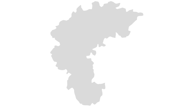 세종 지도