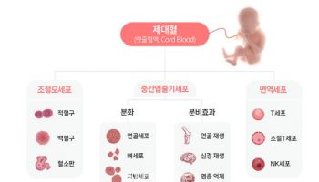 ①생물학적 보험 제대혈, 젊은 부모 ‘출산준비 필수템’으로