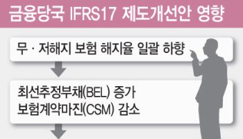 금감원 “보험사, IFRS17 악용 단기실적 경쟁 우려…자정노력 절실”