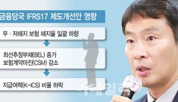 금감원 "보험사 새 회계기준 원칙 어길 땐 대주주에게 직접 연락"