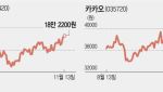 힘 잃은 증시 속 오르는 네이버…카카오는 여전히 부진