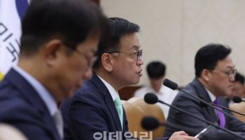 회의 주재하는 최상목 부총리