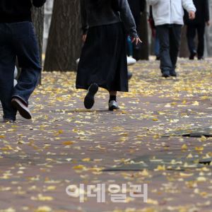 [포토] 걷고 싶은 거리                                                                                                                                                                                   