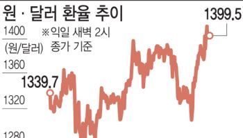 트럼프발 강달러에 천장 뚫린 환율…외환당국도 속수무책[환율 1400원 시대①]