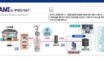 국내 2005만호 지능형 전기 계량기 보급 완료…한전 “신사업 창출 모색”