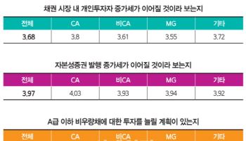 늘어나는 자본성증권 명과 암