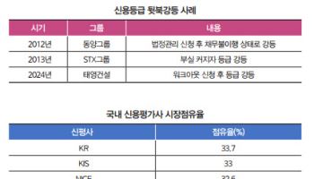 신평사 고질병? 여전한 '뒷북 평가'