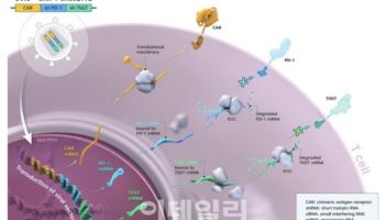 큐로셀,안발셀 허가부터 판매…3대 관문 넘어야 가능