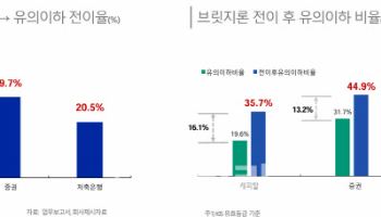 “비은행권, PF 구조조정·자영업 대출 부실 위험…성장 둔화 불가피”