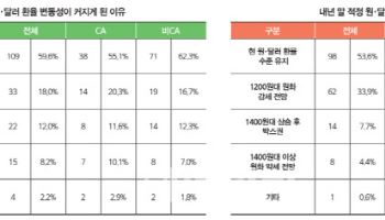 쉽게 꺼지지 않을 ‘달러 강세’…내년 환율 방향은