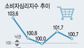 국내 소비심리 얼어붙는데…해외 카드사용은 '역대 최대'